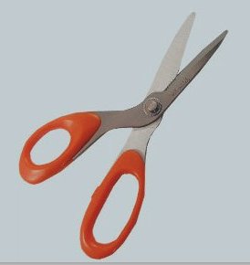 Scissor Sales image